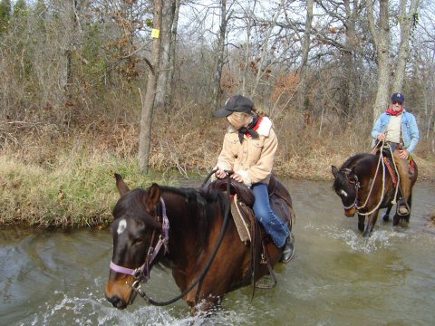 Trail Riding Peruvian Paso geldings at Sportsmans Lake Equestrian Riding Trails